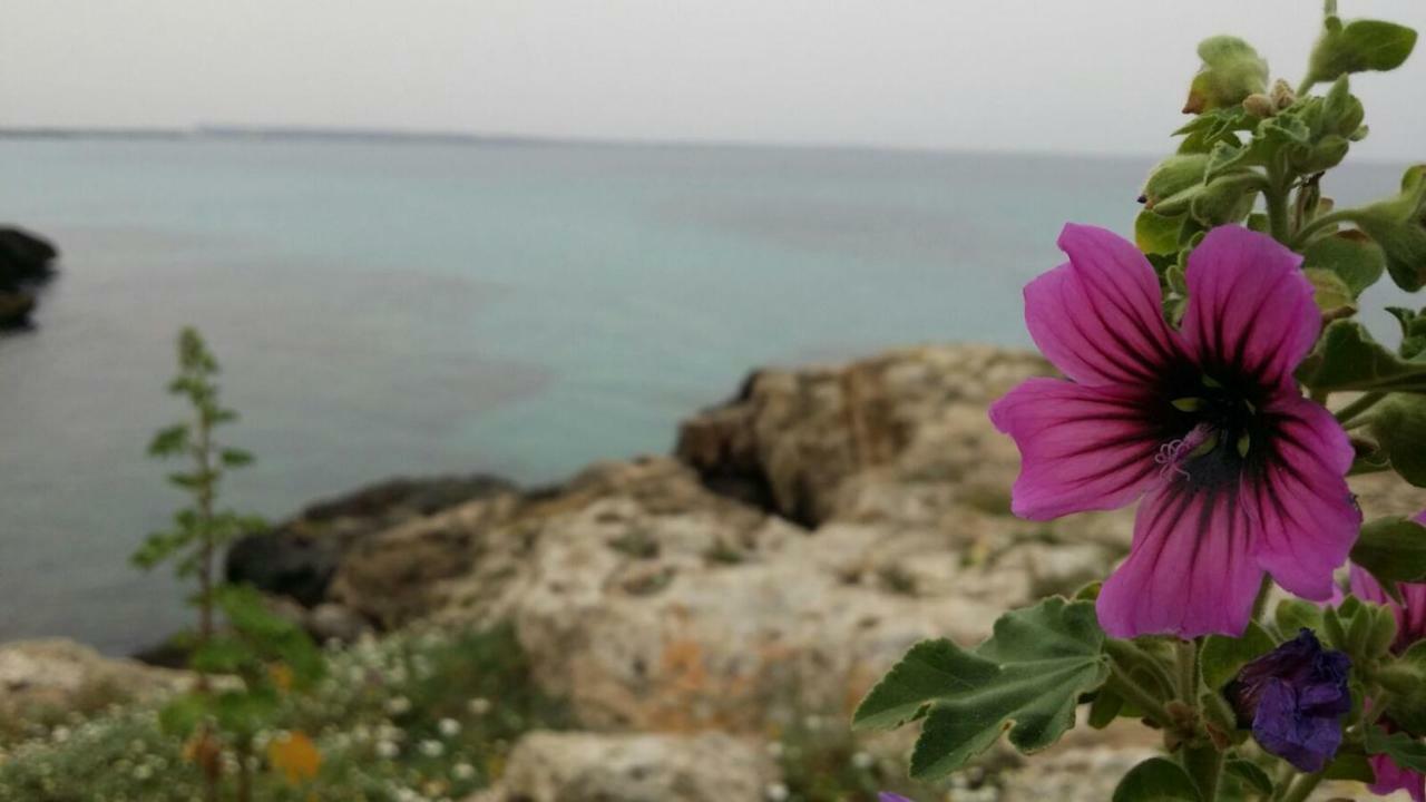 252 Via Udine Villa Gallipoli Eksteriør bilde
